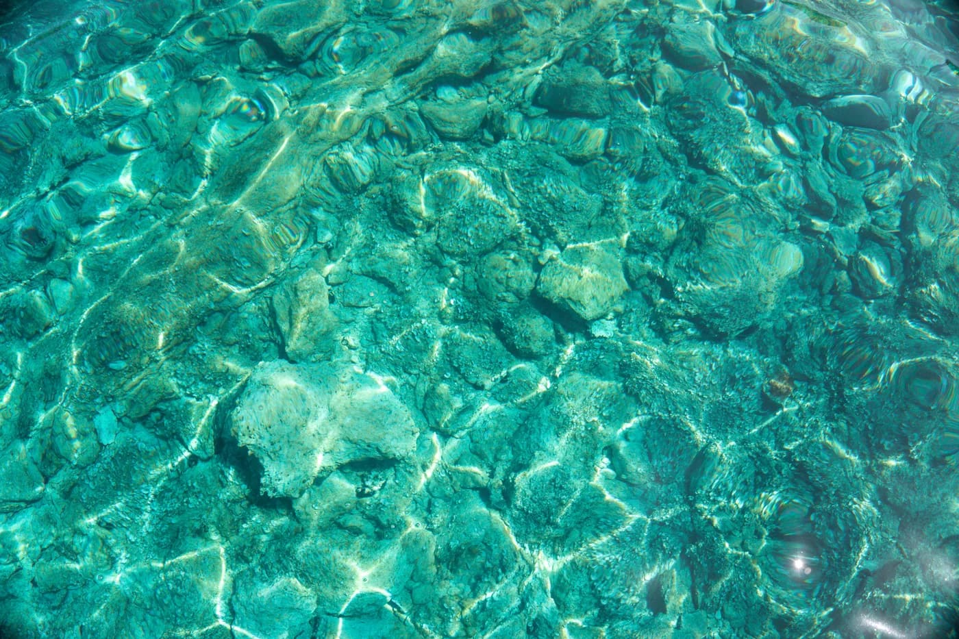 Calm, clear water at a Blue Lagoon swim stop
